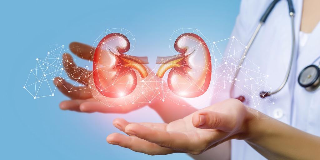 Strategie terapeutiche e novità nel tumore del polmone e del rene metastatico – Mantova (MN) 23 Settembre 2024